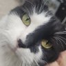 Robert F's profile picture