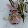 nice rabit 的头像