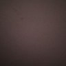 prabhu🇮🇳 profil fotoğrafı