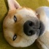 Return's profile picture