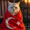 S. profil fotoğrafı