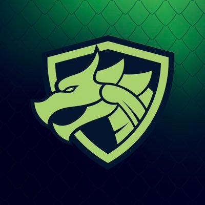 TeamMicelion's profile picture