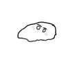 shell_ll's profile picture
