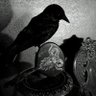 Фото профиля Q