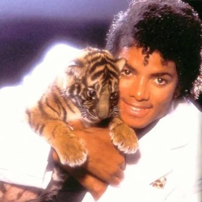 luli 🎶 juridico maos do mj's profile picture