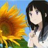 けんたん♪ 的头像