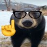 🐻 𝖀𝖗𝖘𝖚𝖘 𝕬𝖓𝖙𝖍𝖗𝖆𝖝𝖎𝖘 🐻's profile picture