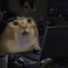Aquib 的头像