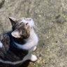 Фото профиля Helen Murray