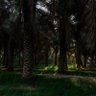Фото профиля خلود