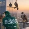 Profilbild von al.n.a.s.r.🇸🇦