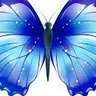 وتمضي الايام's profile picture