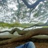 AT's profile picture