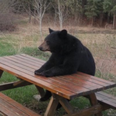 Sp1thfc's profile picture