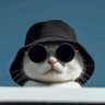 Fasc Dash's profile picture