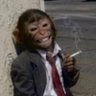 tinytylerr's profile picture