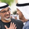 في ظل آل نهيان's profile picture