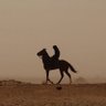Profilbild von أبو تحسين الحموي