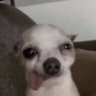 Hepoch's profile picture