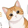 Profilbild von 飯島こう