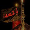Almas Shaikh's profile picture