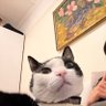 z3tsux profil fotoğrafı