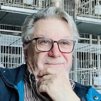 Guitu1956's profile picture