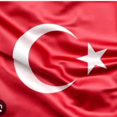 gokturk1881kurt's profile picture