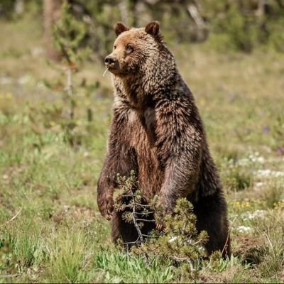 clarazsgp's profile picture