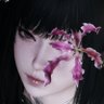 Arisu ᧔❤︎᧓ ValkoIsLoved profil fotoğrafı