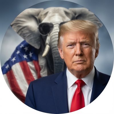 Le mitch 🐘❤️🇺🇸's profile picture