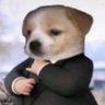 estreito de ormuz's profile picture