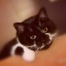 Maliz's profile picture