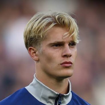Lucas Bergvall Insider's profile picture