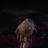Brian Howell's profile picture
