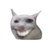 Gato Epico's profile picture