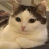 Ana's profile picture