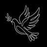 Eli Griv's profile picture