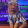Profilbild von debie🇦🇷🩷