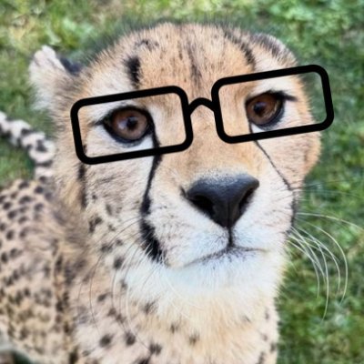 nat's profile picture
