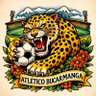 LeopardoenX 的头像