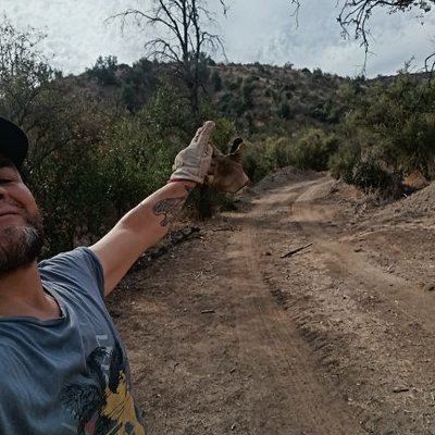 SoyelClaudin's profile picture