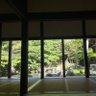 Profilbild von どんた