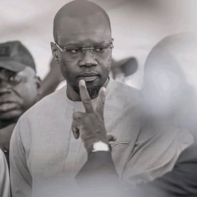SonkoSonkorék's profile picture