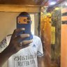 Ahmed_#الفاشر 的头像