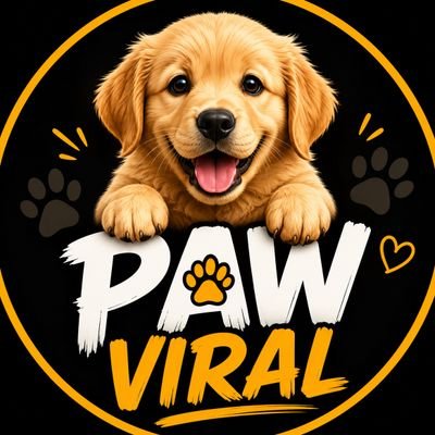 Paw Viral🐾's profile picture