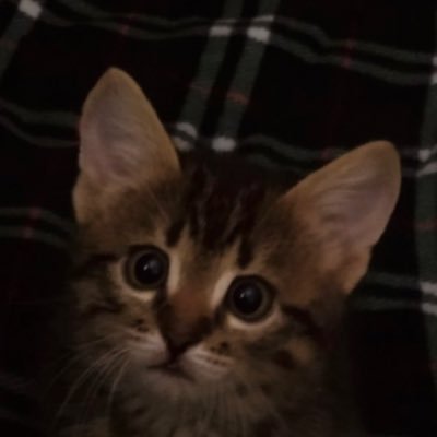 BabyFingery1818's profile picture
