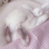 Profilbild von velvet