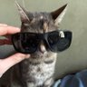 Profilbild von harold