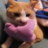 なっちゃぁん🫧 的头像